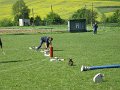 Koprivnica 2009    7